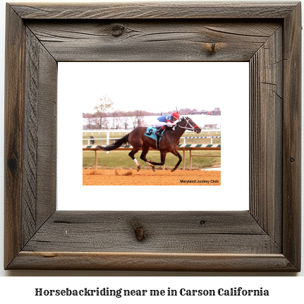 horseback riding near me in Carson, California